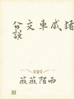 公交车咸猪手小说