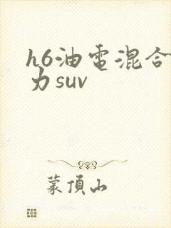 h6油电混合动力suv