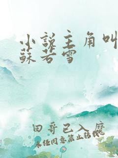 小说主角叫沈浪苏若雪