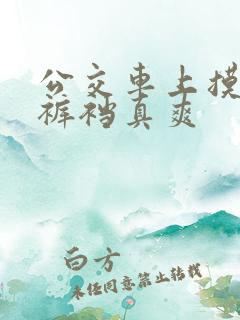 公交车上摸直男裤裆真爽