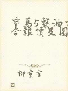 宝马5系油电混合报价及图片