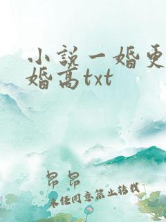 小说一婚更比一婚高txt