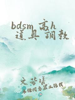 bdsm 高h 道具 调教 文
