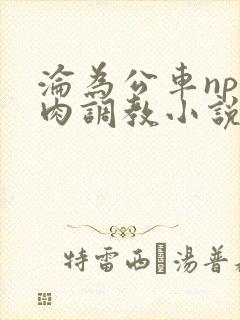 沦为公车np纯肉调教小说