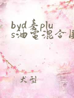 byd秦plus油电混合图片
