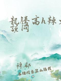 龙腾高h辣文小说网