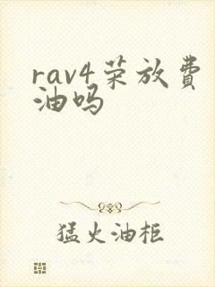 rav4荣放费油吗