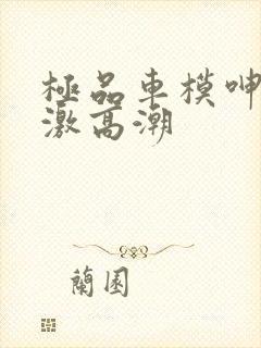 极品车模呻吟刺激高潮