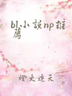 bl小说np推荐