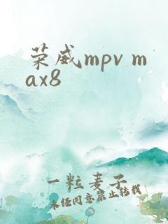 荣威mpv max8