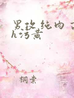 男攻 纯肉 高h污黄