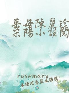 岳母陈丽珍女婿宋阳小说阅读