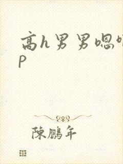 高h男男嗯啊np
