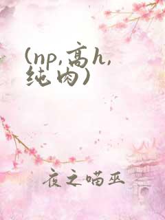 (np,高h,纯肉)