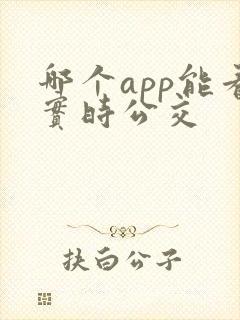 哪个app能看实时公交 哪个app能看实时公交