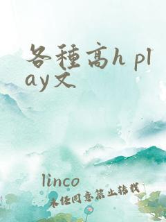 各种高h play文
