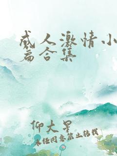 成人激情小说短篇合集