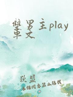 双男主play车文