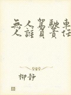 无人驾驶车撞死人谁负责任