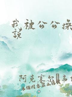 我被公公操了小说