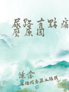 尿路有点痛是什么原因