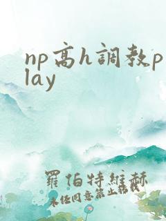 np高h调教play