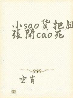小sao货把腿张开cao死
