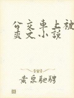 公交车上被强上爽文小说