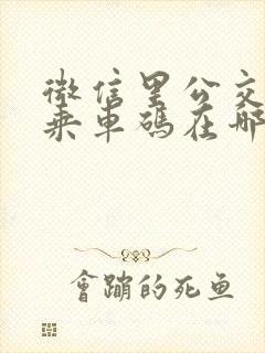 微信里公交地铁乘车码在哪里
