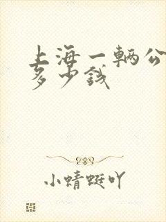 上海一辆公交车多少钱