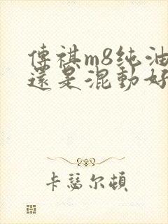传祺m8纯油好还是混动好
