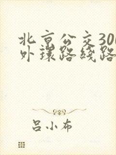 北京公交300外环路线路图