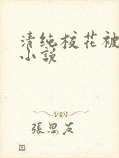 清纯校花被蹂躏小说