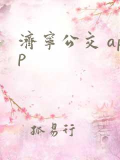 济宁公交 app 济宁公交 app