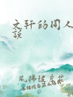 文轩的同人文小说