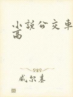 小说公交车被上高
