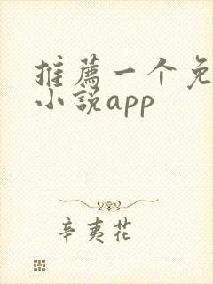 推荐一个免费看小说app