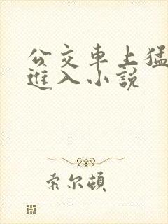 公交车上猛烈的进入小说