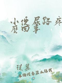 小便尿路疼痛怎么回事