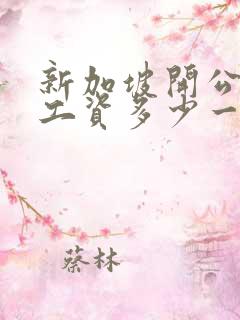 新加坡开公交车工资多少一个月 新加坡开公交车工资多少一个月