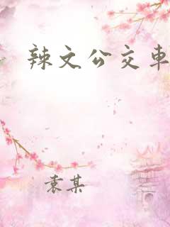 辣文公交车短篇