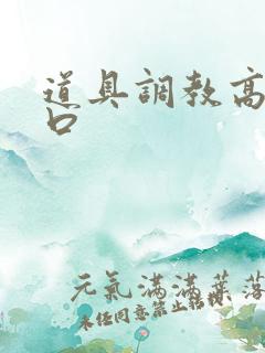 道具调教高h重口