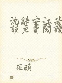 沈辞安江若兮小说免费阅读无弹窗