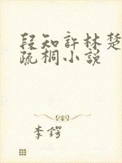 段知许林楚楚江疏桐小说