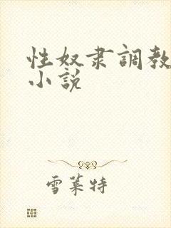 性奴隶调教虐待小说