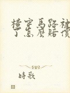 横穿马路被车撞了怎么赔偿