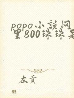 popo小说网里800珠珠是多少钱