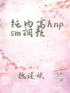 纯肉高hnp sm调教