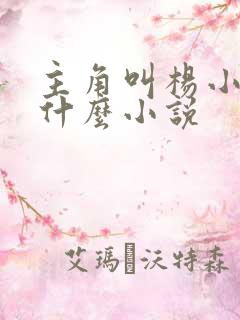 主角叫杨小天是什么小说