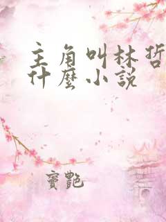 主角叫林哲的是什么小说